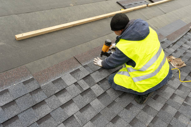 Best Roof Gutter Cleaning  in City View, SC