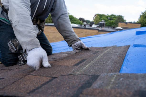Best Roof Leak Repair  in City View, SC